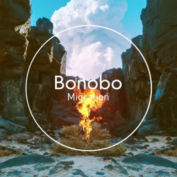 Bonobo Migration