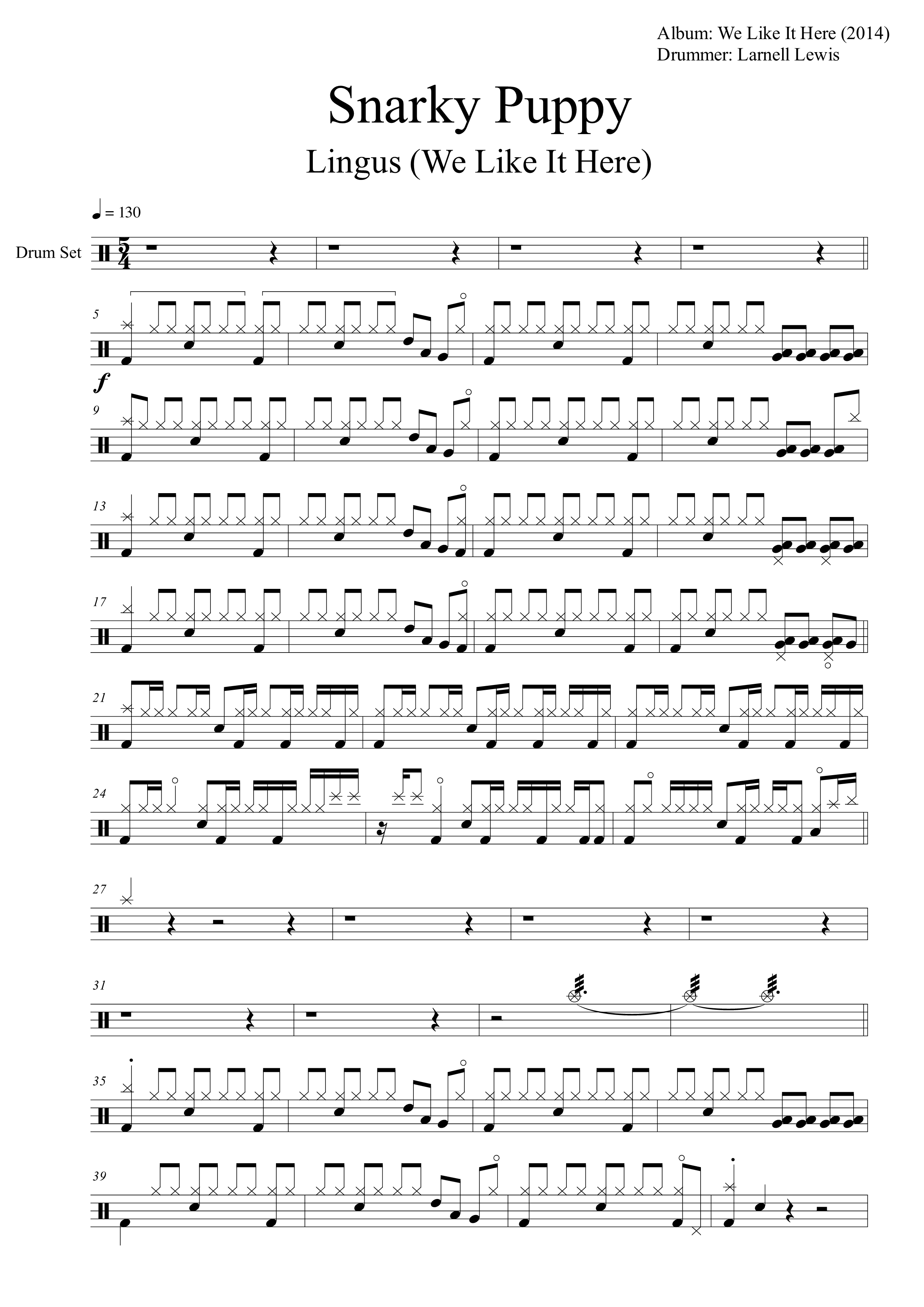 snarky puppy lingus drum transcription